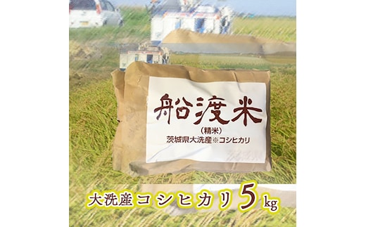 令和7年産 米 コシヒカリ 5kg 船渡米 茨城 大洗 国産 白米 精米