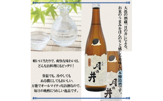 日本酒 仕込み 梅酒 500ml 本醸造 720ml 2本 セット 月の井 大洗 地酒 国産梅 茨城