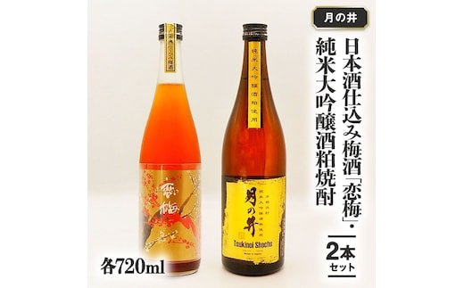 日本酒 仕込 梅酒 恋梅720ml 純米大吟醸 酒粕 焼酎 720ml 2本 セット 酒粕焼酎 国産梅 月の井 大洗 地酒 茨城