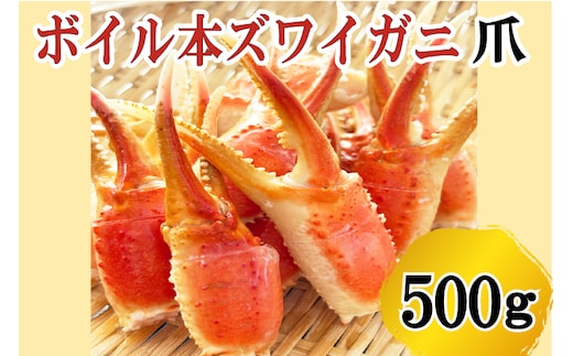 【12月25日決済確定分まで年内発送】 ボイル 本ずわいがに 爪 500g×1 カジマ ずわい蟹 ズワイガニ ずわいがに かに カニ 蟹 かに爪 カニ爪
