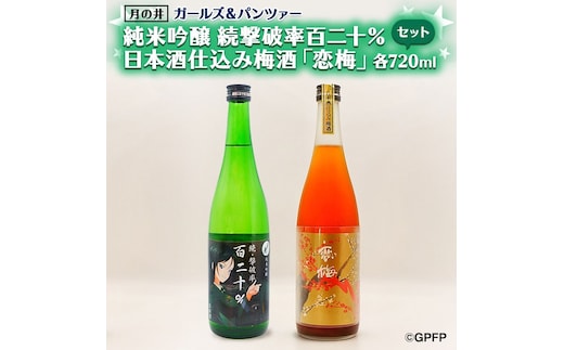 純米吟醸 続撃破率百二十％ 720ml 日本酒 仕込 梅酒 恋梅 720ml 2本 セット ガルパン コラボ 国産梅 月の井 大洗 地酒 茨城 ガールズ＆パンツァー