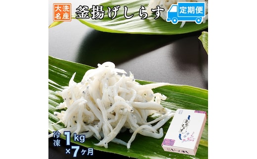 定期便 釜揚げしらす (1kg×7か月) 天然 釜揚げ ふっくら しらす シラス 魚 さかな 魚介 離乳食