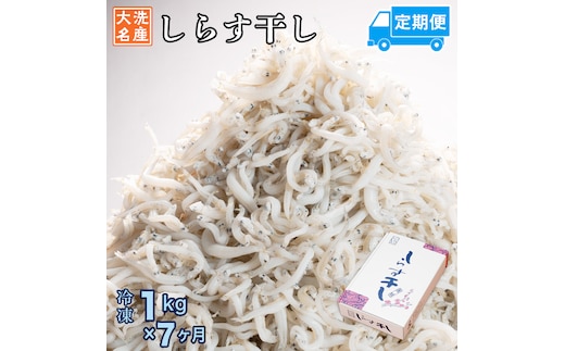 定期便 しらす干し (1kg×7か月) 天然 ふっくら 大洗 名産 しらす シラス 魚 さかな 魚介 離乳食