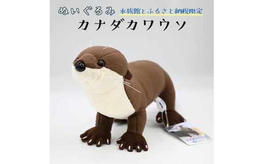 ぬいぐるみ カワウソ アクアワールド 大洗 オリジナル グッズ 茨城 水族館 カナダカワウソ かわうそ 限定 | dショッピングふるさと納税百選