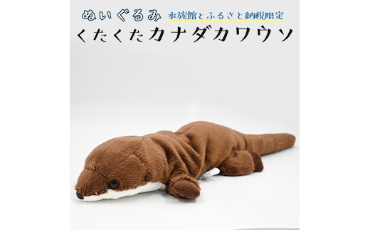 ぬいぐるみ カワウソ アクアワールド 大洗 オリジナル グッズ 茨城 水族館 くたくたカナダカワウソ かわうそ 限定 | dショッピングふるさと納税百選