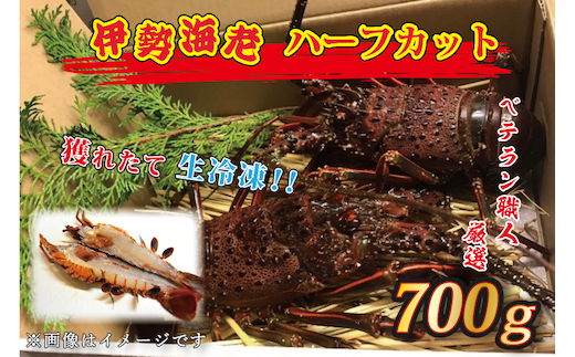 【12月25日決済確定分まで年内発送】生冷凍 伊勢海老 ハーフカット 700g 冷凍 国産 伊勢エビ イセエビ いせえび 海老 エビ えび おせち 刺身 焼き物 味噌汁