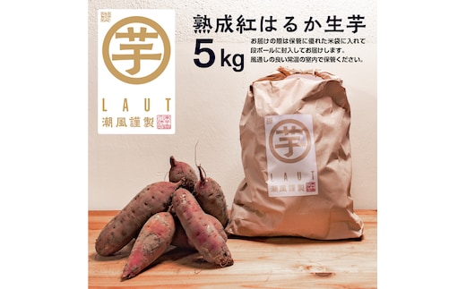 【先行予約】干し芋屋のさつまいも 熟成 紅はるか 生芋 5kg 無添加 無着色 茨城県産 サツマイモ 土付き 芋 さつまいも さつま芋 薩摩芋 紅遥 べにはるか