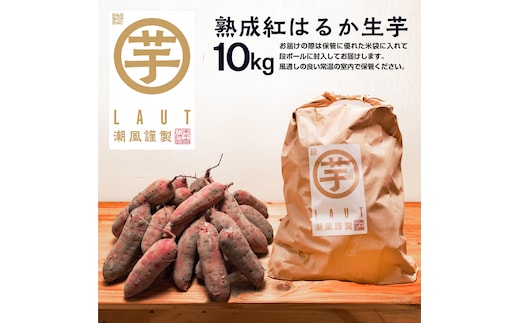【先行予約】干し芋屋のさつまいも 熟成 紅はるか 生芋 10kg 無添加 無着色 茨城県産 サツマイモ 土付き 芋 さつまいも さつま芋 薩摩芋 紅遥 べにはるか