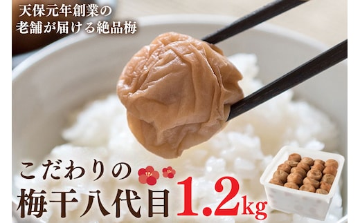 こだわりの梅干八代目 1.2kg 南高梅 無添加 減塩 昔ながら 老舗 伝統 国産 大洗 大洗町 梅干し 梅干 梅 うめぼし うめ