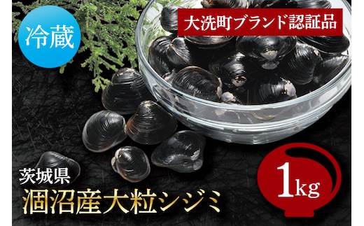 涸沼産 大粒 シジミ 1kg しじみ 蜆 大和しじみ ヤマトシジミ 大玉 冷蔵 味噌汁 スープ 魚貝類 貝 オルニチン コハク酸 魚介類