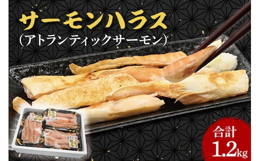 サーモン ハラス 1.2kg(200ｇ×6p) アトランティックサーモン 鮭 鮭はらす 大洗町 大洗 魚 さかな 魚介類 冷凍 工場直送 おかず おつまみ