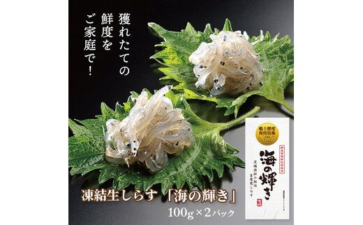 凍結生しらす「海の輝き」 100g 2パック 小分け シラス 冷凍 生しらす しらす