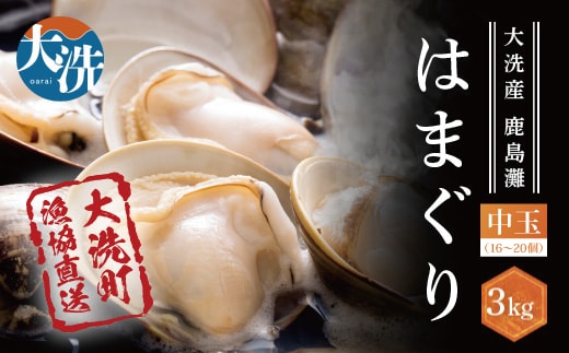 大洗産鹿島灘天然はまぐり 3kg 冷蔵 お吸い物 ハマグリ 蛤 貝 砂抜き処理 魚介類 大洗産 天然 はまぐり