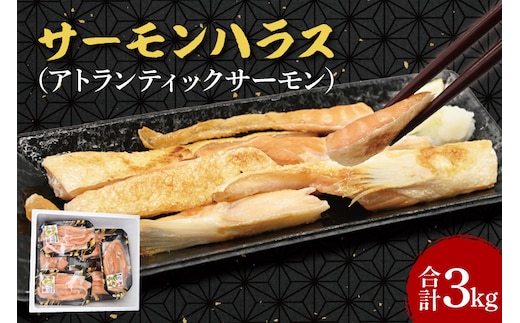 サーモン ハラス 3kg (200ｇ×15p) アトランティックサーモン 鮭 鮭はらす 干物 ひもの 大洗町 焼魚 焼き魚 魚 魚介 海鮮 海産物 冷凍 工場直送 おかず おつまみ