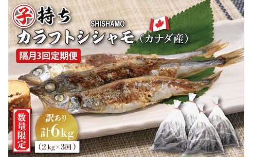 【定期便】 子持ち カラフトシシャモ ２kg (500g×4袋) 訳アリ シシャモ ししゃも カラフトししゃも 大洗 規格外 訳あり わけあり 傷 半年お届け（2ヶ月に1度 ２kg × 3回 お届け ）