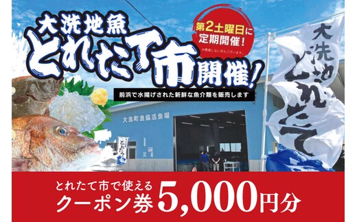 大洗地魚とれたて市クーポン券 5,000円分 (1,000円分×5) 地魚 鮮魚 活魚 朝獲れ 魚介類 漁協 大洗産 大洗 チケット