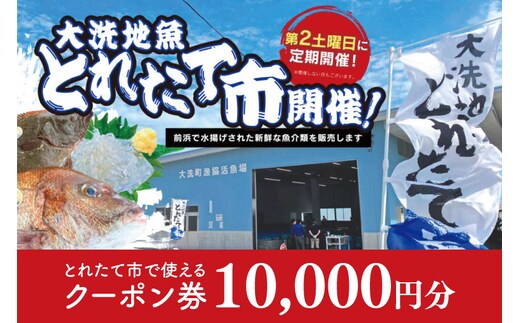 大洗地魚とれたて市クーポン券 10,000円分 (1,000円分×10) 地魚 鮮魚 活魚 朝獲れ 魚介類 漁協 大洗産 大洗 チケット