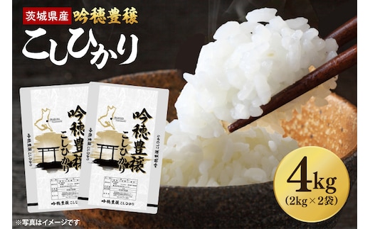 【先行予約 2025年9月より順次発送】 ＜令和7年産＞ 新米 吟穂豊穣こしひかり 4kg (2kg×2袋) 精米 コシヒカリ こしひかり 米 ごはん コメ お米 白米 国産 茨城県産