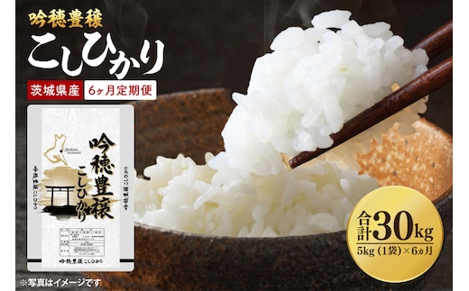 【先行予約 2025年10月より順次発送】【6ヵ月定期便】 ＜令和7年産＞ 新米 吟穂豊穣こしひかり 5kg ×6ヵ月 精米 コシヒカリ こしひかり 米 ごはん コメ お米 白米 国産 茨城県産