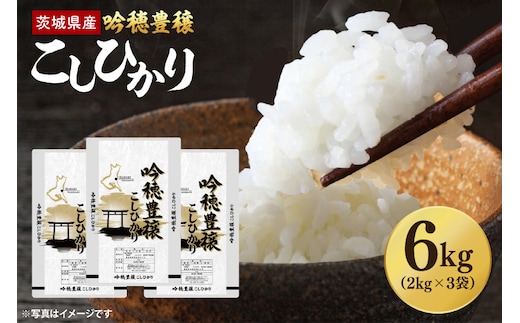 【先行予約 2025年9月より順次発送】 ＜令和7年産＞ 新米 吟穂豊穣こしひかり 6kg (2kg×3袋) 精米 コシヒカリ こしひかり 米 ごはん コメ お米 白米 国産 茨城県産