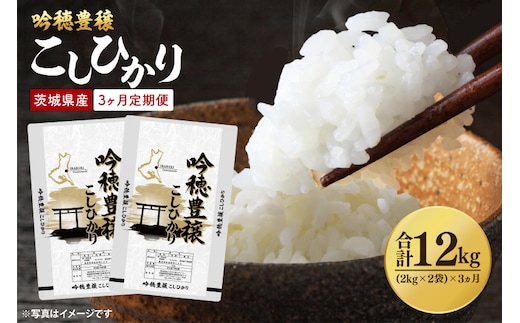 【先行予約 2025年10月より順次発送】【3ヵ月定期便】 ＜令和7年産＞ 新米 吟穂豊穣こしひかり 4kg ( 2kg 2袋 ) ×3ヵ月 精米 コシヒカリ こしひかり 米 ごはん コメ お米 白米 国産 茨城県産
