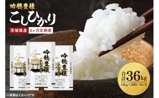 【先行予約 2025年10月より順次発送】【6ヵ月定期便】 ＜令和7年産＞ 新米 吟穂豊穣こしひかり 6kg ( 2kg 3袋 ) ×6ヵ月 精米 コシヒカリ こしひかり 米 ごはん コメ お米 白米 国産 茨城県産