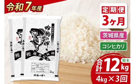 【3ヵ月定期便】 ＜令和７年産＞ 新米 コシヒカリ 4kg（2kg×2袋） × 3ヵ月 精米 こしひかり 米 ごはん コメ お米 白米 国産 茨城県産