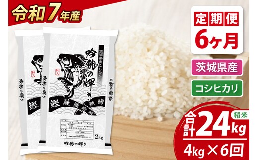 【6ヵ月定期便】 ＜令和７年産＞ 新米 コシヒカリ 4kg × 6ヵ月 精米 こしひかり 米 ごはん コメ お米 白米 国産 茨城県産