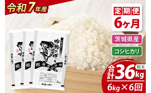 【6ヵ月定期便】 ＜令和７年産＞ 新米 コシヒカリ 6kg × 6ヵ月 精米 こしひかり 米 ごはん コメ お米 白米 国産 茨城県産