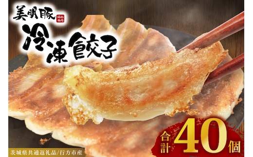 冷凍餃子 40個（20個×2袋） ブランド豚 「 美明豚 」（茨城県共通返礼品・行方市産） 小分け 餃子 ギョウザ 国産 豚肉 野菜 惣菜 おかず フライパン