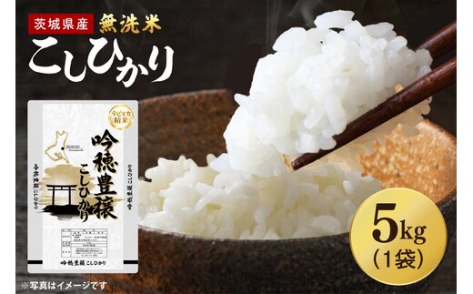 【選べる内容量】 ＜令和7年産＞ 無洗米 こしひかり 5kg タピオカ精米 コシヒカリ こしひかり 米 ごはん コメ お米 白米 精米 精米済み 国産 茨城県産