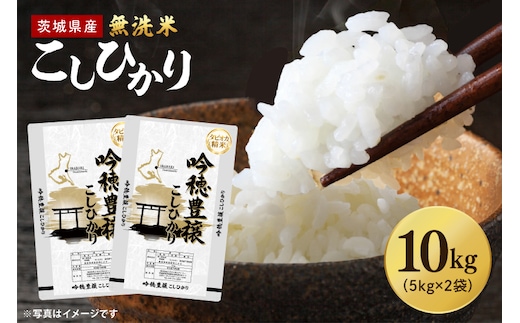 【選べる内容量】 ＜令和7年産＞ 無洗米 こしひかり 10kg タピオカ精米 コシヒカリ こしひかり 米 ごはん コメ お米 白米 精米 精米済み 国産 茨城県産
