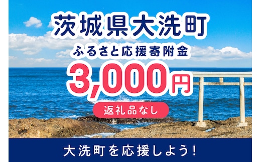 【返礼品なしのご寄附】 茨城県大洗町 1口 3,000円 茨城県 大洗町 応援寄附金 寄附のみ