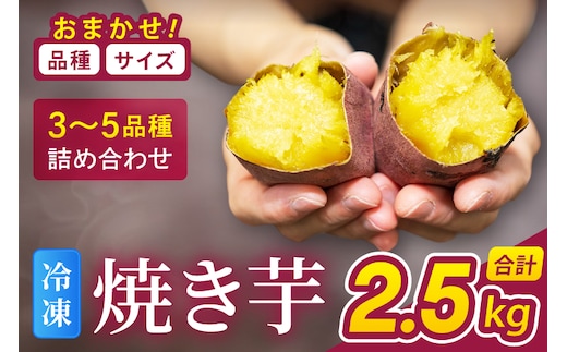 冷凍焼き芋 『Sea Sweet』 2.5kg 品種おまかせ詰め合わせ 3～5種類 詰合せ【 紅はるか / きみまろこ / 紫いも / 紅まさり / 紅あずま / 栗かぐや 】 真空パック 個包装 冷凍 焼き芋 さつまいも やきいも スイーツ 産地直送
