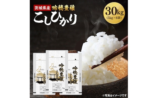 ＜令和8年産 ＞新米 吟穂豊穣こしひかり 30kg(5kg×6袋)コシヒカリ こしひかり 米 ごはん コメ お米 白米 国産 茨城県産