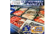 定期便 12ヶ月 鮮魚店「魚忠」 厳選鮮魚セット 大洗 厳選 旬 魚 さかな