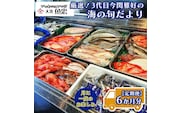 定期便 6ヶ月 鮮魚店「魚忠」 厳選鮮魚セット 大洗 厳選 旬 魚 さかな