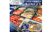 定期便 3ヶ月 鮮魚店「魚忠」 厳選鮮魚セット 大洗 厳選 旬 魚 さかな