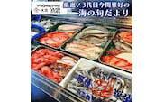鮮魚店「魚忠」 厳選鮮魚セット 大洗 厳選 旬 魚 さかな