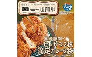揚げずにOK！ ヒレかつ カレー 2食セット カツカレー 油調済み おかず 惣菜 とんかつ 時短 簡単 クックファン