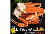 【12月25日決済確定分まで年内発送】 ボイル 本ずわいがに 1.5kg 6肩 (500g × 3) カジマ ずわい蟹 ズワイガニ ずわいがに かに カニ 蟹