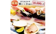 順鮨 店主おまかせ鮨コース ２名分 鮨 すし 特別大洗コース すし 寿司