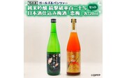 純米吟醸 続撃破率百二十％ 720ml 日本酒 仕込 梅酒 恋梅 720ml 2本 セット ガルパン コラボ 国産梅 月の井 大洗 地酒 茨城 ガールズ＆パンツァー