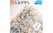 定期便 しらす干し (1kg×7か月) 天然 ふっくら 大洗 名産 しらす シラス 魚 さかな 魚介 離乳食