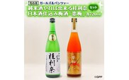 純米酒 やれば出来る桂利奈 720ml 日本酒 仕込み 梅酒 恋梅 720ml ガルパン コラボ 2本 セット 国産梅 月の井 大洗 地酒 茨城