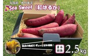 【先行予約】大洗産 さつまいも 紅はるか 2.5kg （8本前後） 「Sea Sweet」 長期熟成 茨城県産 サツマイモ 土付き 生芋 芋 さつま芋 薩摩芋 甘藷 べにはるか