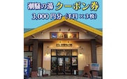 天然温泉 潮騒の湯 クーポン券 3000円分（1000円×3枚） 露店風呂 サウナ おんせん 大洗サンビーチ 海鮮 魚介 食事 宿泊 チケット 利用券 アウトドア 旅行