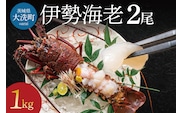 【12月25日決済確定分まで年内発送】生冷凍 伊勢海老 2尾 1kg 冷凍 国産 伊勢エビ イセエビ いせえび 海老 エビ えび おせち 刺身 焼き物 味噌汁
