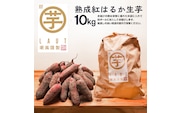 【先行予約】干し芋屋のさつまいも 熟成 紅はるか 生芋 10kg 無添加 無着色 茨城県産 サツマイモ 土付き 芋 さつまいも さつま芋 薩摩芋 紅遥 べにはるか