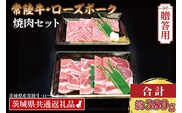 【 ギフト用 】【常陸牛・ローズポーク焼肉セット(2～3人前)】 常陸牛 カルビ 約180g ローズポーク 約200g (ロース100g ばら100g)（茨城県共通返礼品・茨城県産）ブランド牛 茨城 国産 黒毛和牛 霜降り 牛肉 ブランド豚 豚肉 冷凍 内祝い 誕生日 お中元 贈り物 お祝い 焼肉